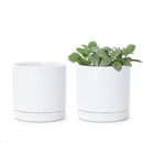 D'vine Dev Set of 2 Plants Pots, 3.5 Inch Ceramic Planter Pot for Plants with Drainage Hole and Saucer, White, 94-V-A-1 by GreenHaven Gardens