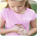 Insect Lore Raise and Release Butterfly Garden Kit – Caterpillar Habitat with redeemable Voucher – STEM-accredited Live Butterfly Growing Kit for Kids, Classrooms, and Homeschool Learning by TinyTreasures Baby Boutique