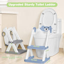 Toilet Seat, Potty Training Seat for Toddler, Upgraded 2-in-1 Potty Toilet Training for Boys and Girls,Waterproof Cushioned Mat with Non-slip Step Stool by TinyTreasures Baby Boutique