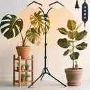 50W Standing Grow Lights for Indoor Plants, Seed Starting, Bonsai with Timer Auto On/Off, 5000 Lumen Enough Bright Like A Small Sun for Your Jungle, Daisy Chain Function, 40"-64" Height Adjustable by GreenHaven Gardens