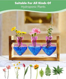 Nacome Plant Terrarium for Office Decor: Birthday Gifts for Plant Lovers Women Mom Wife - Wooden Stand Tabletop Planter 3 Bulb Glass Vase Heart Shaped for Hydroponics Indoor Home(Purple) by CozyNest Decor