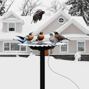 Bird Bath Heater Pond Heater 70W Shallow Water Pond deicer Energy-Saving, thermostatically Controlled Winter Outdoor with a Protective Socket Cover (Single ice Melter) by GreenHaven Gardens