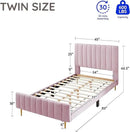 Livinia Twin Size Elton Velvet Platform Bed, Upholstered Bed Frame with Vertical Channel Tufted Headboard Footboard, Strong Wood Slats, No Box Spring Needed, Pink (Twin) by CozyNest Decor