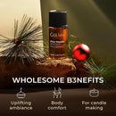 Gya Labs Pine Essential Oils for Diffuser - 0.34 Fl Oz - 100% Pure Natural Fall Pine Oil for Skin, Body Massages & Candle Making Scent by CozyNest Decor
