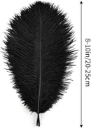 THARAHT Black Ostrich Feathers 12pcs Natural Bulk 8-10Inch 20cm-25cm for Crafts Wedding Party Centerpieces Halloween and Home Decoration Feathers by CozyNest Decor