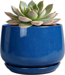 G EPGardening 6 Inch Plant Pot - Round Ceramic Planter Indoor with Drainage and Ceramic Saucer for Flower, Modern Desk Decor, Modern Garden Gift, Blue by GreenHaven Gardens