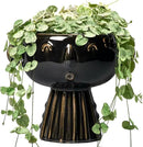 Head Planter 7 Inch - Ceramic Face Planters with Drainage Hole, Funny Succulent Pots for Indoor Outdoor, Cute Decorative Plant Pot, Desk Office Room Home Decor, Black by GreenHaven Gardens
