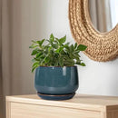 G EPGardening Ceramic Plant Pots - 9 Inch Round Modern Planter Indoor with Drainage and Tray for Indoor Outdoor Flower, Office Decor, Gardening Gifts, Retro Blue by GreenHaven Gardens