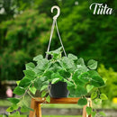 Tiita 1 Pack Fake Plants Artificial Scindapsus Aureus in Pots, Realistic Fake Greenery Potted Plants for Home Office Desk Window Sill Bathroom Bedroom Outdoor Indoor by CozyNest Decor