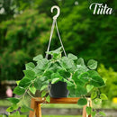 Tiita 2 Pack Fake Plants Artificial Scindapsus Aureus in Pots, Realistic Fake Greenery Potted Plants for Home Office Desk Window Sill Bathroom Bedroom Outdoor Indoor by CozyNest Decor