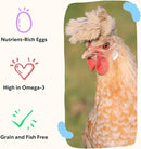 Grubbly Farms Omega Mix Chicken Treats for Laying Hens - Superfood and Omega-Rich Chicken Feed Supplement to Support Egg Production, Strong Eggshells and Nutritious Yolks - 5LB by GreenHaven Gardens