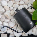 OFFIDIX Watering Can for Indoor Plants,Long Spout Metal Stainless Steel 21 oz/600 ml Watering Can with 14 oz/400ml Glass Plant Mister Spray Bottle for Plant Bonsai by GreenHaven Gardens