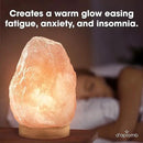 d'aplomb 100% Authentic Natural Himalayan Salt Lamp; Medium Hand Carved Natural Chunk Pink Crystal Rock Salt from Himalayan Mountains; Dimmer Cord; 7 lbs by CozyNest Decor