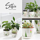 Ceramic Plant Pots with Drainage Holes and Saucers, Round White Flower Pots for Indoor Plant, Diameter 3.3/4.3/5.5 Inches Small Flower Planters Set of 3 by CozyNest Decor