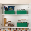 3 Pack Small Storage Baskets for Organizing, Cute Woven Decorative Gift Baskets for Shelves, Mini Closet Organizer Bins with Handles, 11.81''Lx7.87''Wx4.72''H-Green by CozyNest Decor