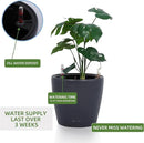 Dexceder 11x10 Inches Self Watering Planter Indoor Outdoor, Inner Pot Design, Thickened Table Flower Plant Pot with Water Level Indicator (Slate Gray Matte) by CozyNest Decor