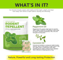 Mice Repellent Indoor, Peppermint Oil to Repel Mice and Rats, Extra-Strength Plant-Based Mice Repellent Rat Repellent for House Squirrel Repellent Rodent Deterrent for Indoor Use (Pack of 10) by GreenHaven Gardens