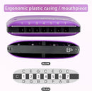 KONGSHNEG BabyFat 7 Hole Blues Mini Harmonica Set,Diatonic Harmonica with free lanyards,Gifts for Professional Players and Beginners,Easy-playing Musical Instrument(Key of Bb） by TinyTreasures Baby Boutique