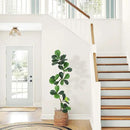GarveeHome Fiddle Leaf Fig Artificial Tree with White Planter,5ft Faux Plants Indoor with Moss, Fake Rubber Tall Fake Floor Plant in Pot - Artificial Trees for Home Office Living Room Decor by CozyNest Decor