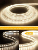 AIMENGTE Outdoor LED Strip Lights Waterproof, AC 110V, 360LEDs, 4000k LED Rope Lighting, Led Strip for Lawn Garden, Yard, Outside Christmas Decorations (9.9ft, Daylight) by GreenHaven Gardens