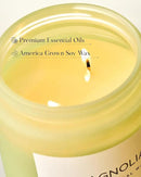 M&SENSE Magnolia Jasmine Romantic Scented Candle, 19.4oz 110 Hours Long Lasting Clean Non Toxic All Natural Soy Wax Candle for Relaxing & Stress Relief, 2 Wick Home Fragrance Gifts for Home Decor