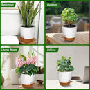 Uneed Indoor Self Watering Planters with Drainage Holes and Saucers, 7/6.5/6/5.5/5 Inch-5 Pots,for Indoor Plants, Herbs, Succulents (White) by CozyNest Decor