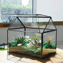 Black 1 Large Glass Plant Terrarium Kit with Lip Greenhouse for Succulents by GreenHaven Gardens
