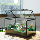 Black 1 Large Glass Plant Terrarium Kit with Lip Greenhouse for Succulents by CozyNest Decor