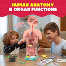 Smartivity Human Body Model for Kids 6-12 Years | Learn Body Organs, Functions with Fun Card Games | Cool Birthday Gift for Boys & Girls | DIY STEM Science Toys for Kids 6,7,8,9,10,11,12 Years I by TinyTreasures Baby Boutique