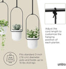 Umbra Triflora Hanging Planter for Window, Indoor Herb Garden, Set of 3, White/Black by GreenHaven Gardens