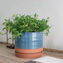 8 Inch Pots for Plants, Ceramic Planter Pot with Drainage Hole & Saucer, Indoor/Outdoor Cylinder Round Planter Pot, Blue & Terracotta by CozyNest Decor