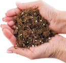 Premium Gardenera House Plant Potting Mix - 10 Quart - Fern + New Zealand Bark + Perlite | Great for Pothos, Spider Plants, Montsera, Philodendron, English Ivy (2 Bags of 5 Quart) by GreenHaven Gardens