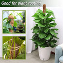 2 Pack Moss Pole, 28 Inch Bendable Moss Pole for Plants Monstera, Moss Poles for Climbing Plants Indoor, Coir Plant Pole Sticks Support Stakes for Potted Plant, Pothos, Philodendron by GreenHaven Gardens