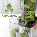 AMZCHEF Cold Press Juicer, Juicers Machines - 5.4" Large Feed Chute for Whole Fruits & Vegetables, Stainless Steel Slow Masticating Juice Easy to Clean, Large Auger, Triple Strainers, Silver by CozyNest Decor