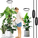 LORDEM 10" Full Spectrum Plant Light, 160 LEDs Large Grow Light for Indoor Tall Plants, Growing Lamp with 4/8/12H Auto Timer, 10 Dimmable Levels, 3 Spectrum Modes, 61" Height Adjustable, Pack of 2 by GreenHaven Gardens