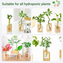 Ivolador Plant Propagation Station, Plant Propagation Tubes,Gifts for Plant Lovers,Plants Cutting Holder Office Desk Garden Décor Gifts for Mom Women Hydroponic Vase Gift Box by GreenHaven Gardens