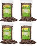 Cilantro Plant Potting Mix - Unlock Rich Growth and Flavorful Leaves with Our High-Performance Formula - 20 Quart by GreenHaven Gardens