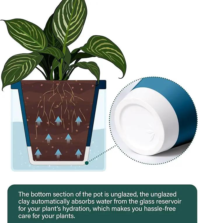 D'vine Dev 10 Inch Design Self Watering Planter for Indoor Plants, Blue Terracotta Pot with Cylinder Glass Cup, 37-X-D-4, photo 5 of 7