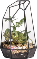 NCYP Small Glass Geometric Terrarium - 4.9 x 3.9 x 7.4 Inches Irregular Clear Planter Pot for Succulents, Cactus, Indoor Garden Tabletop Decoration, Centerpiece (No Plants, No Door) by CozyNest Decor