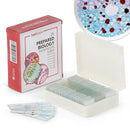AmScope 25pc Prepared Glass Microscope Slides in Plastic Case with Plant, Fungus, Insect and Mammal Specimens by TinyTreasures Baby Boutique