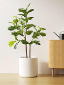 LE TAUCI 12 Inch Pot for Plants, Ceramic Large Planter for Indoor Plants, Mid-Century Modern Flower Pots with Drainage Hole and Removable Plug, White by CozyNest Decor