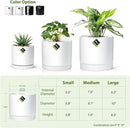 Aveyas 10 inch Ceramic Plant Pot with Drainage Hole and Saucer - Suitable for Indoor and Outdoor Use, Modern Planters for House Garden Flower Tree Snake Monstera Plants (10", Matte White)