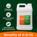 Simple Lawn Solutions - High Potassium Lawn Food Liquid Fertilizer 0-0-25 - Concentrated Spray - Turf Grass Vigor and Plant Hardiness - Summer and Fall - Any Grass Type (2.5 Gallon) by GreenHaven Gardens