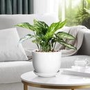 8 Inch Ceramic Planter, Plant Pots with Drainage Hole and Separable Saucer,Indoor-Outdoor Round Succulent Orchid Flower Pot,Indoor pots for Plants(Smooth White,Plant Pot only) by GreenHaven Gardens