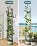 Garden Obelisk Trellis for Climbing Plants Outdoor 6.2 Ft Rose Bush Round Trellis for Pots Rustproof Metal Plant Flower Trellises for Clematis Vine Jasmine Support Outdoor Indoor (Black, 6.2ft) by GreenHaven Gardens