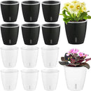 Self Watering Pots for Indoor Plants, 12-Pack 5'' Self Watering Planter with Drainage Holes, Small African Violet Pots with Water Level Indicator, Clear Wick Pot, White/Black by CozyNest Decor