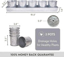 SCANDINORDICA Galvanized Metal Herb Planter, 5 Pots with Drainage Holes, Indoor Outdoor Use, Farmhouse Decor, 19.5x3.9x3.5 inches by GreenHaven Gardens