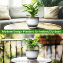 8 Inch Plant Pot, Ceramic Planter with Drainage and Saucer, Ceramic Pots for Plants, Indoor Plant pots,Ceramic Flower pots(Black + White, Plants NOT Included) by GreenHaven Gardens