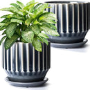AISBUGUR Plant Pots 6 inch Ceramic Pots for Indoor Plants Set of 2 Flower Pots Unique Crackle Glaze Design Plant Pots with Drainage Hole and Saucer Come with Drainage Nets (Grey) by GreenHaven Gardens