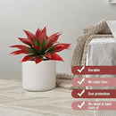 Artificial Agave Plants,Large UV Resistant Fake Agave Planters for Indoor and Outdoor Decorating Tropical Plant Succulents Greenery Indoor Decor (2Pack,18" Red) by CozyNest Decor